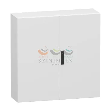 Schneider Electric spacial CRN kétajtós (1000 × 1000 × 300)